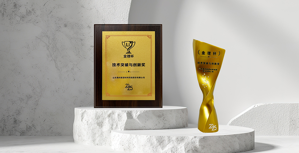 喜报 | 星空体育·(中国)官方网站 - 登录入口荣获真锂研究“技术突破与创新奖”